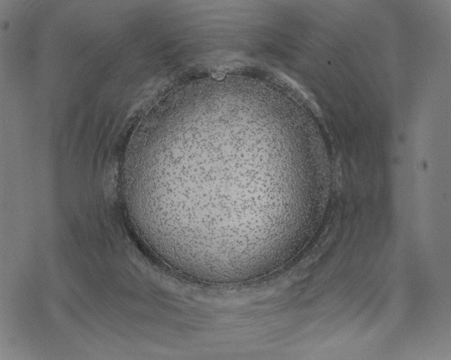 X0000074260018200609081747