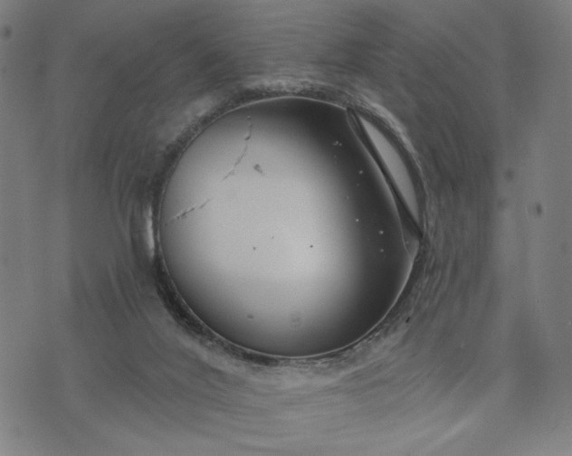 X0000074260020200609081747