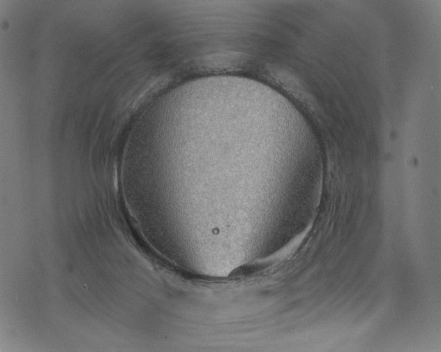 X0000074260021200609081747