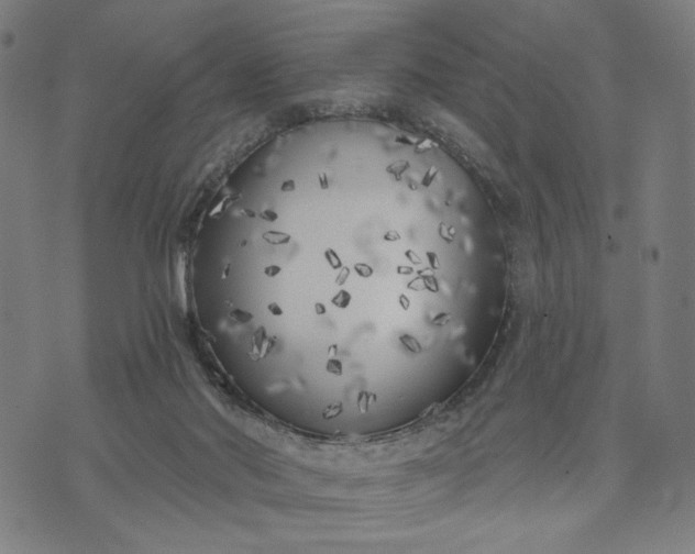 X0000074260022200609081747