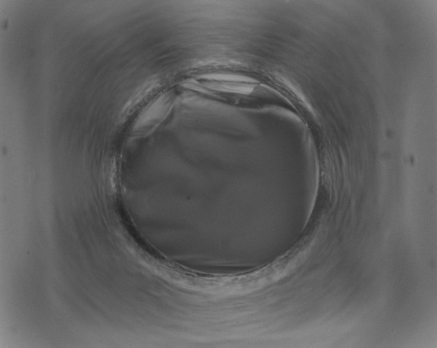 X0000074260023200609081747