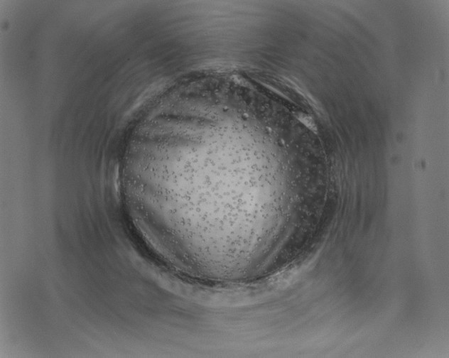 X0000074260024200609081747