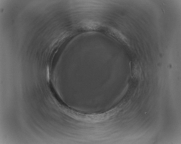 X0000074260027200609081747