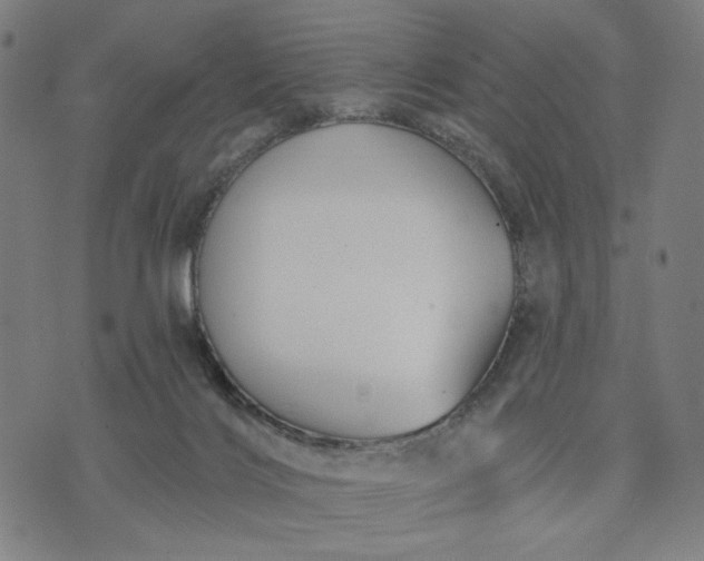 X0000074260028200609081747