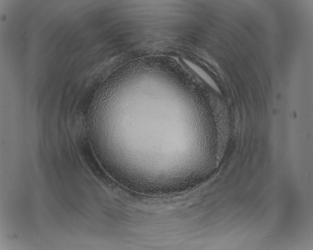 X0000074260029200609081747