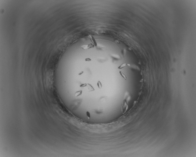 X0000074260030200609081747