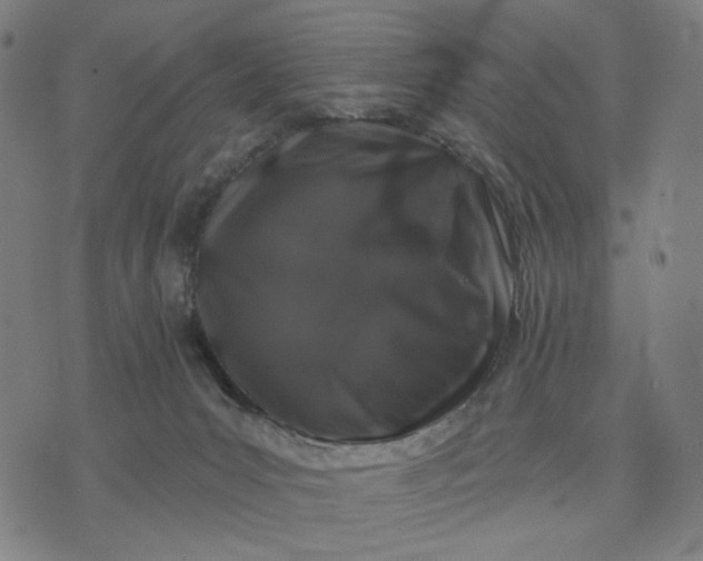 X0000074260031200609081747