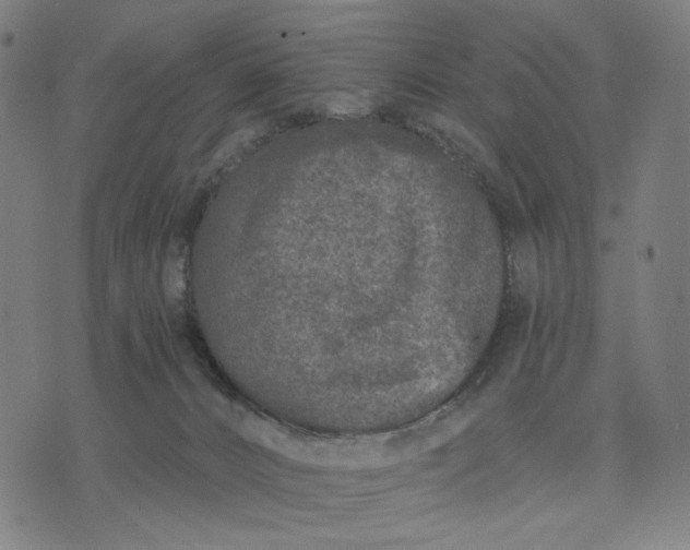 X0000074260032200609081747