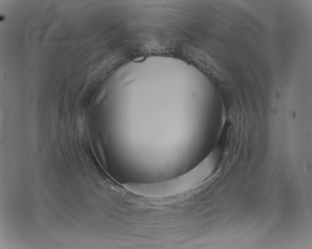 X0000074260033200609081747