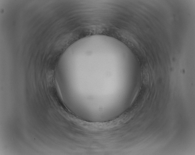 X0000074260034200609081747