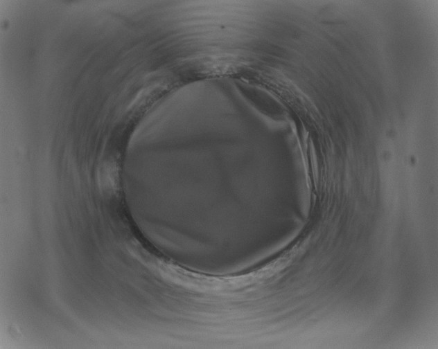 X0000074260035200609081747