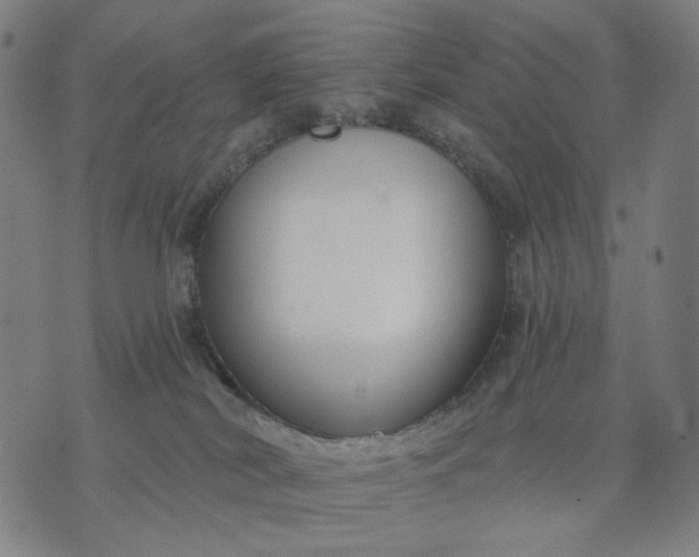 X0000074260038200609081747