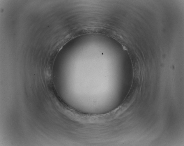 X0000074260040200609081747