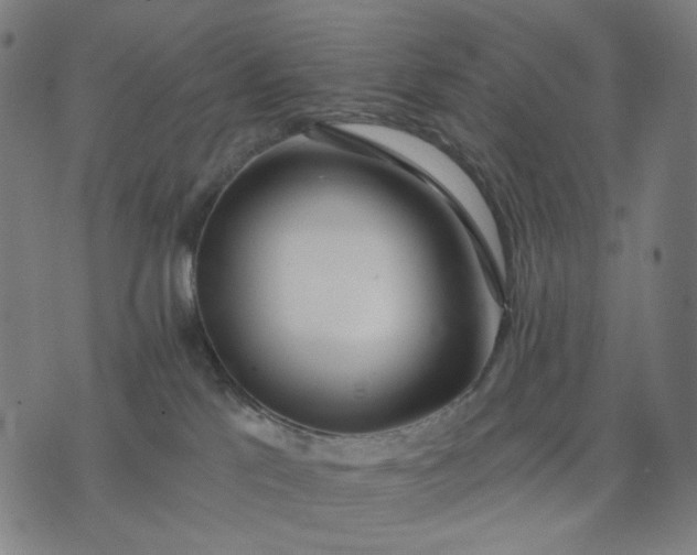 X0000074260041200609081747