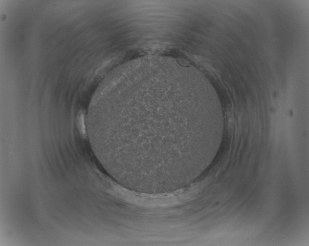 X0000074260042200609081747