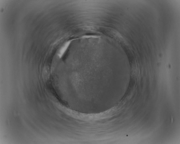 X0000074260043200609081747