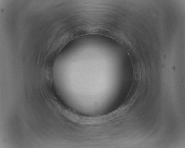 X0000074260044200609081747