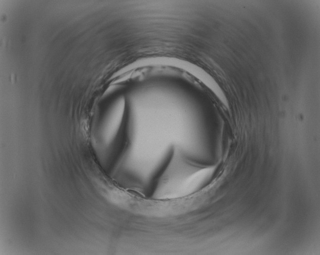 X0000074260045200609081747