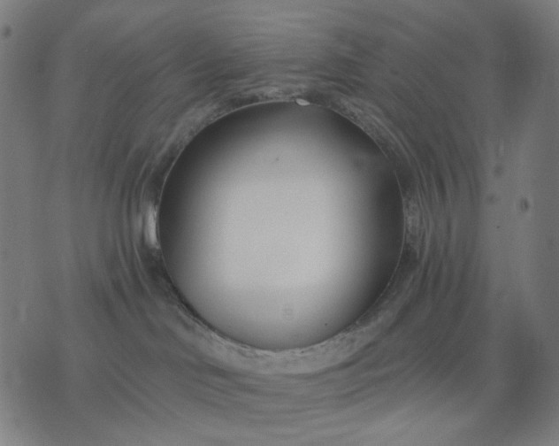 X0000074260046200609081747