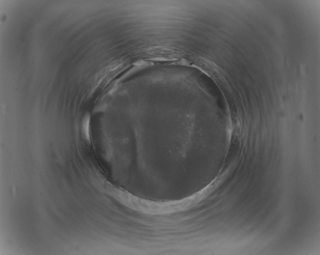 X0000074260047200609081747