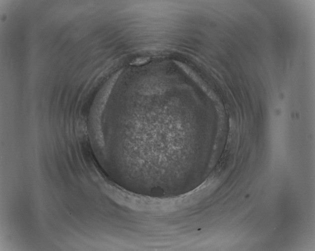 X0000074260048200609081747