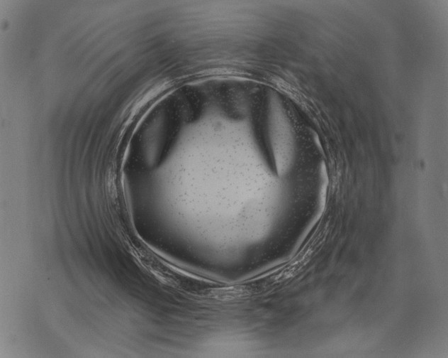 X0000074260050200609081746