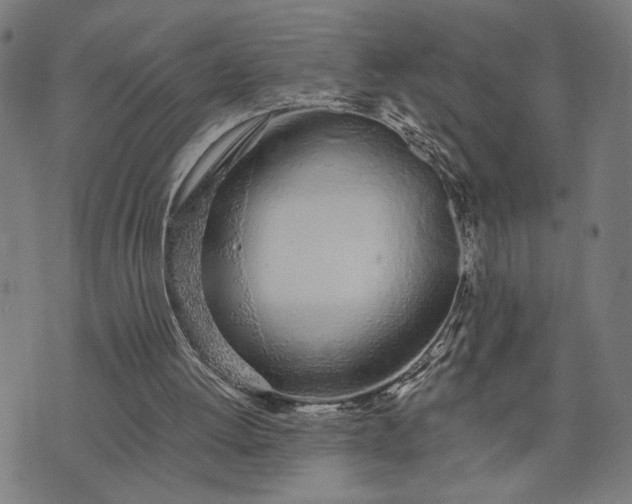 X0000074260052200609081746