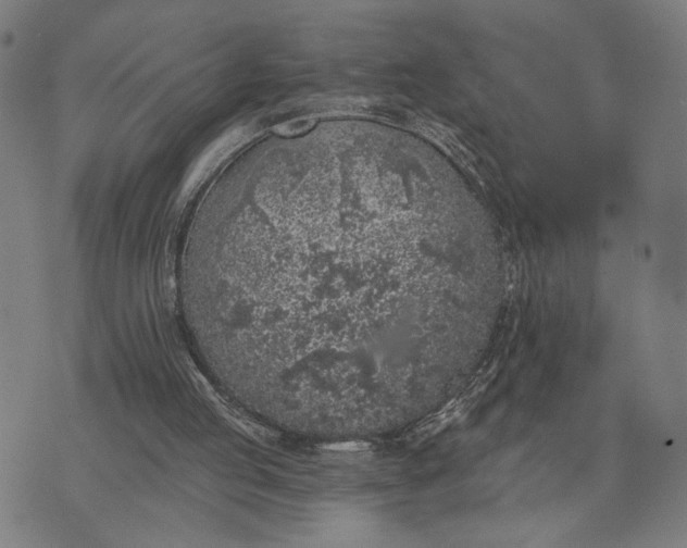 X0000074260053200609081746