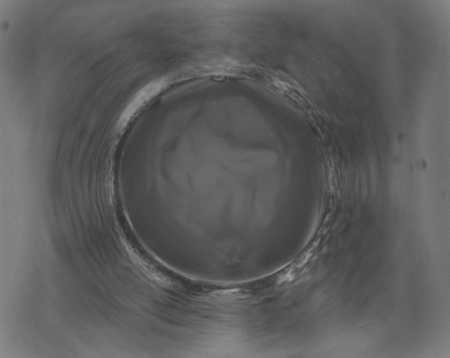 X0000074260054200609081746