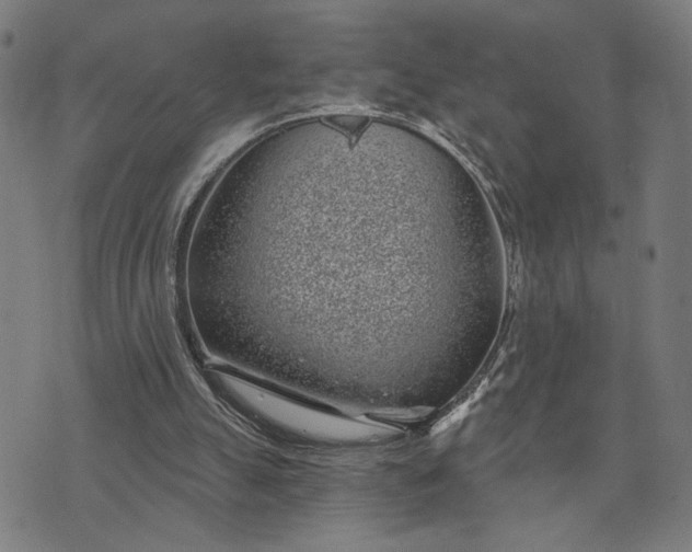 X0000074260055200609081746