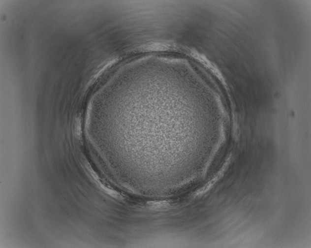 X0000074260057200609081746