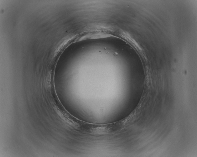 X0000074260058200609081746