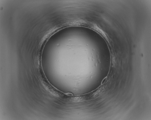 X0000074260059200609081746