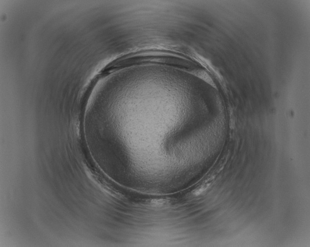 X0000074260060200609081746