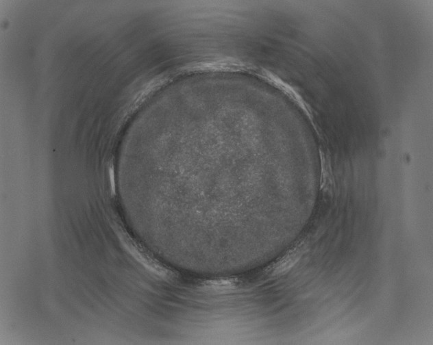 X0000074260061200609081746