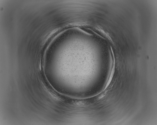 X0000074260062200609081746