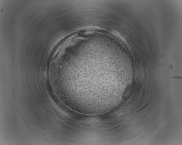 X0000074260063200609081746