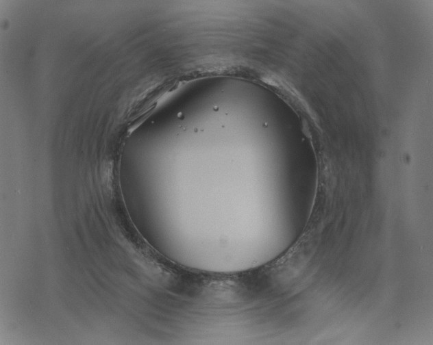 X0000074260066200609081746