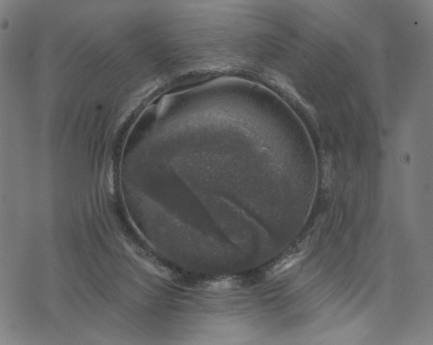 X0000074260068200609081746