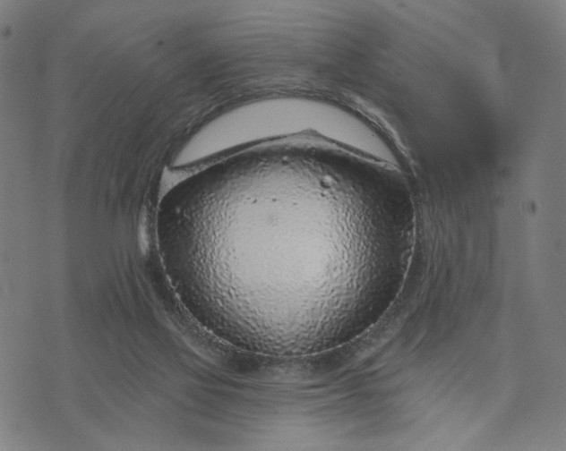 X0000074260069200609081746