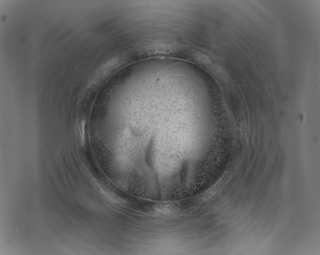 X0000074260070200609081746