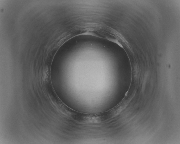 X0000074260073200609081746