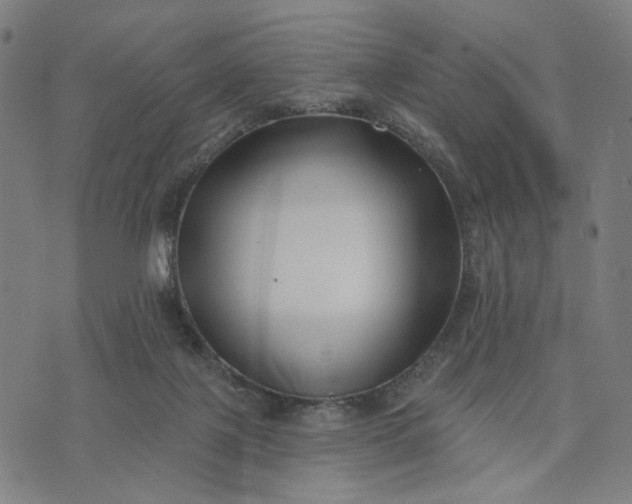 X0000074260075200609081747