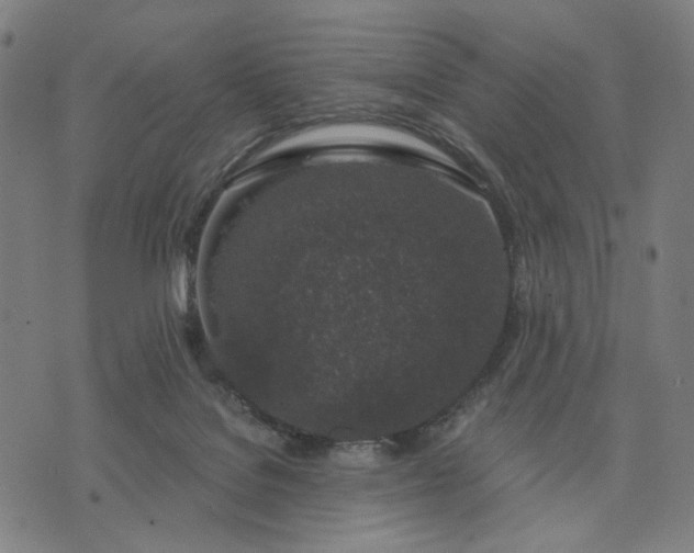 X0000074260076200609081747