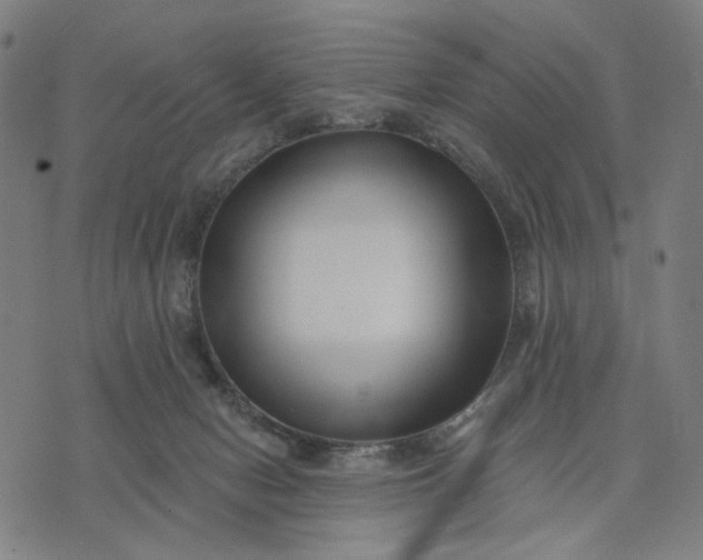 X0000074260078200609081747