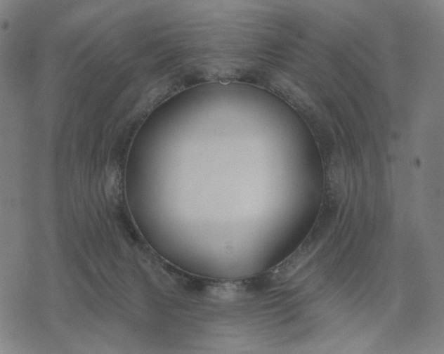 X0000074260079200609081747