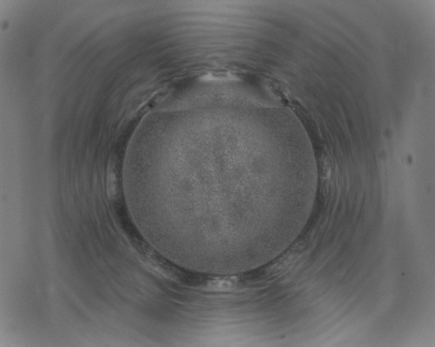 X0000074260080200609081747