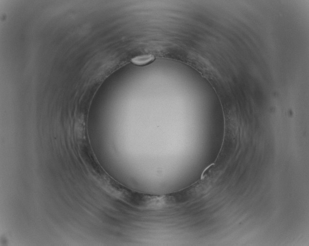 X0000074260083200609081747