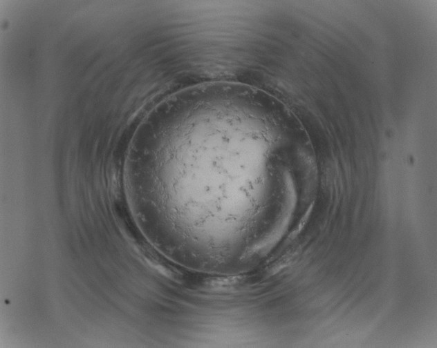 X0000074260084200609081747