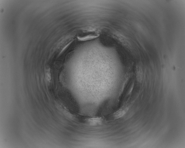 X0000074260085200609081747